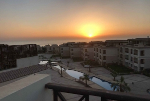Cairo: Day Tour to the Red Sea with Lunch