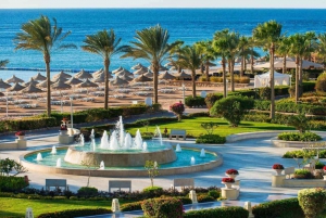 Cairo: Day Tour to the Red Sea with Lunch
