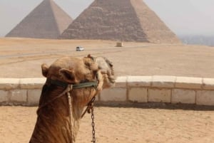 Wycieczka jednodniowa do Kairu