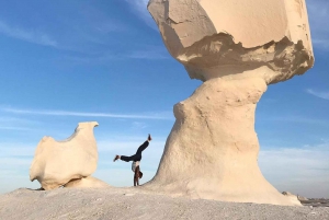 Cairo: White Desert and Bahariya Oasis Day Tour