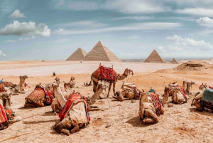 Cairo: Pacote turístico para o Egito: 11 dias com tudo incluído