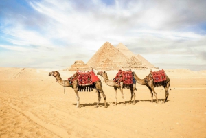 Cairo: Egyptian Museum, Pyramids & Bazaar Tour
