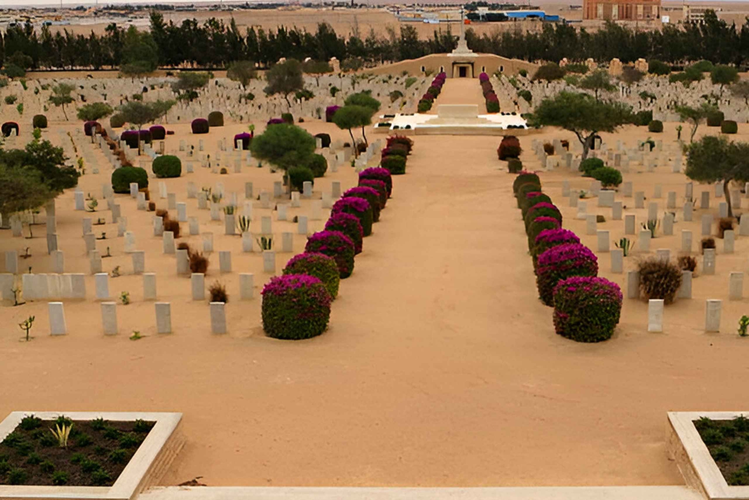 Le Caire : EL-Alamein - Excursion guidée d'une journée sur l'histoire de la Seconde Guerre mondiale avec déjeuner