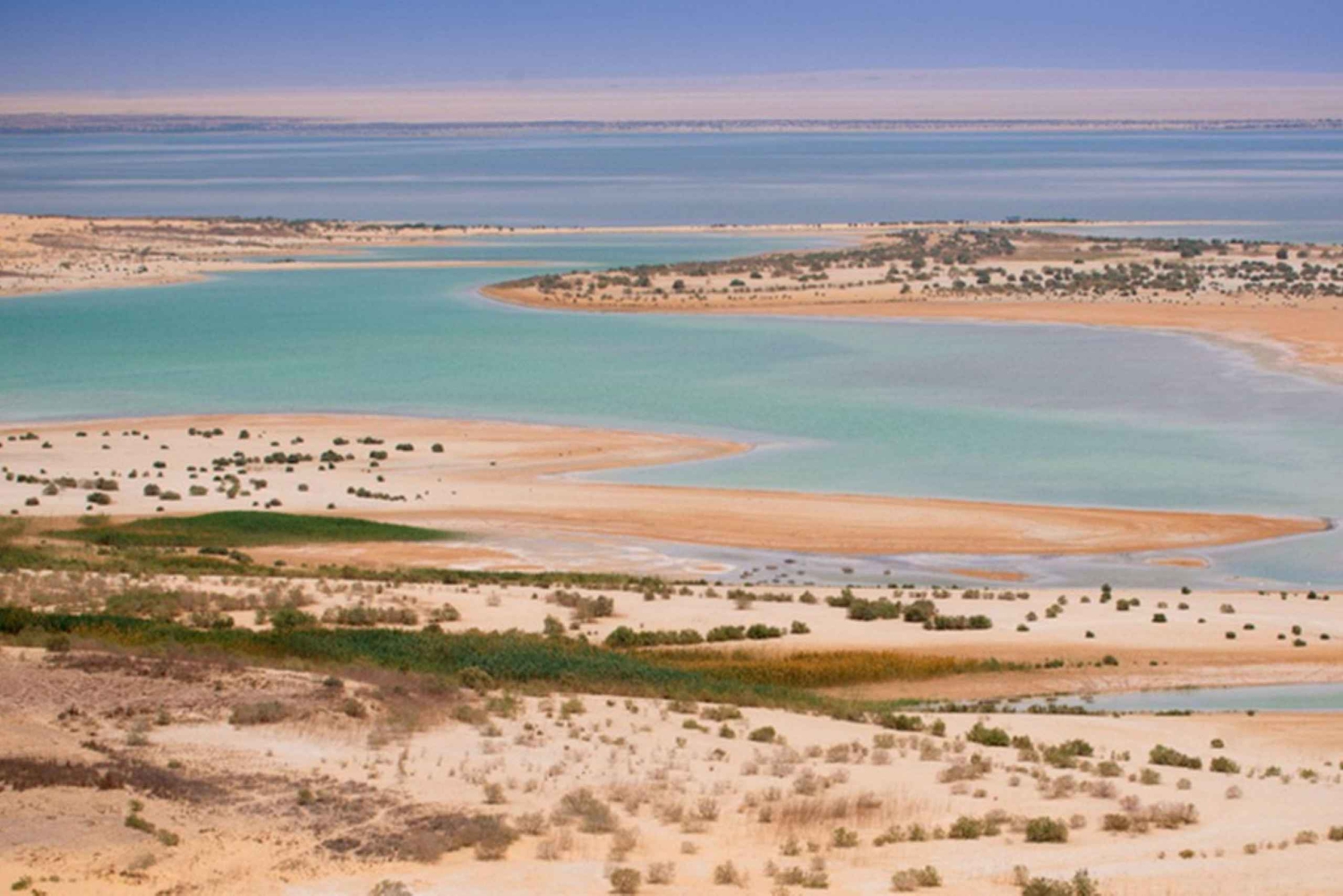 Kairo: Fayoum, Wadi El Rayan og Wadi al Hitan 4x4-tur