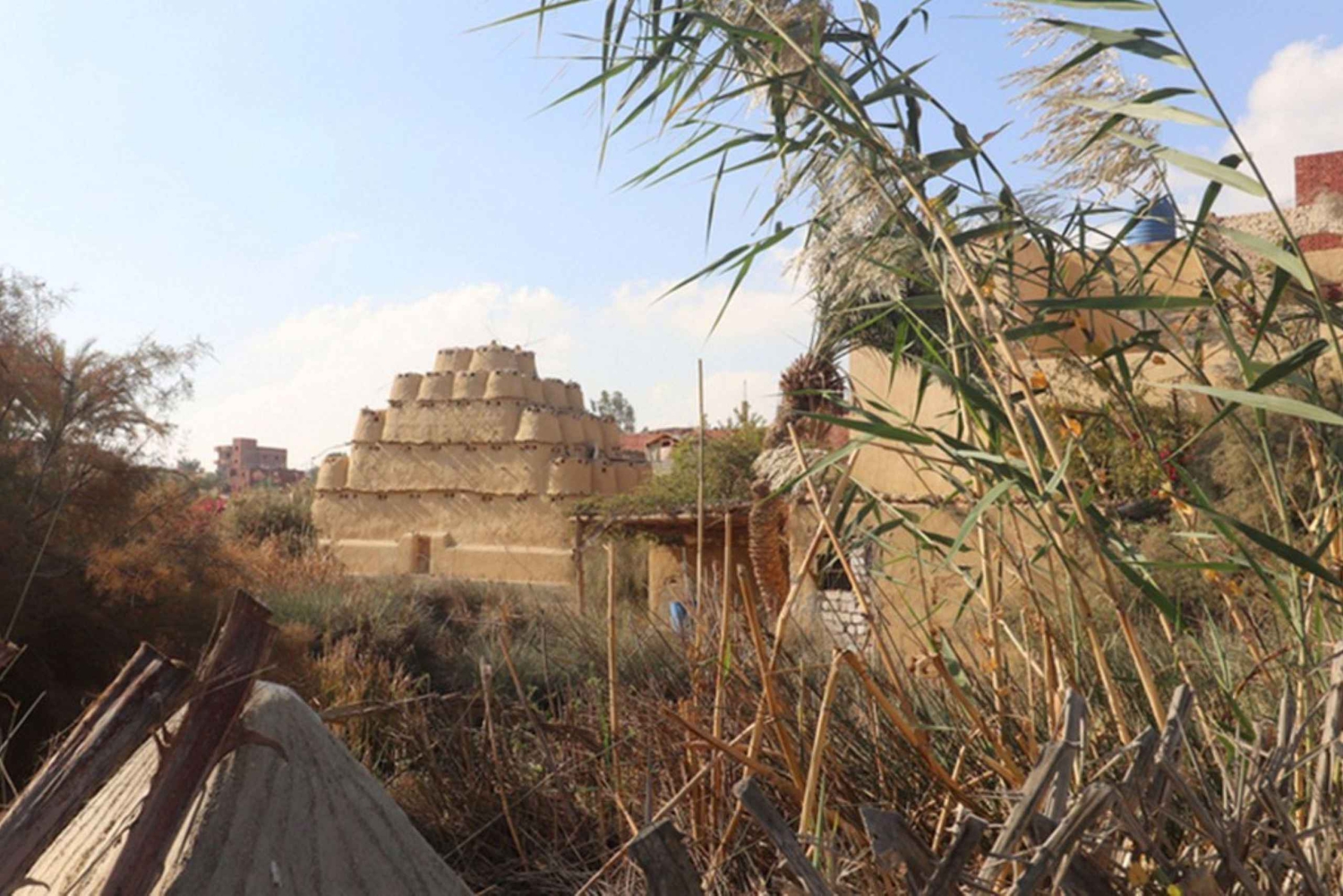 Kairo: Fayoum, Wadi El Rayan og Wadi al Hitan 4x4-tur