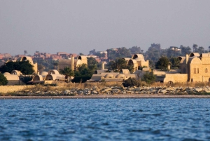 Kairo: Fayoum, Wadi El Rayan og Wadi al Hitan 4x4-tur