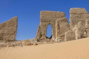 Cairo: Fayoum, Wadi El Rayan, and Wadi al Hitan 4x4 Tour