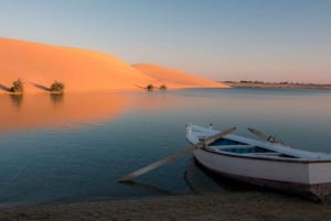 Cairo: Fayoum, Wadi El Rayan, and Wadi al Hitan 4x4 Tour