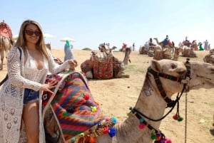 Cairo Giza Private Tour Pyramid Museum Bazaar Camel Optional