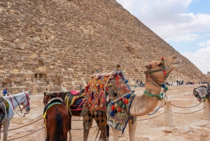 Caïro: Kamelenrit op de piramides van Gizeh en rondleiding door het Egyptisch Museum