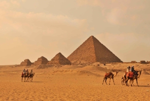 Cairo: Giza Pyramids Camel Ride and Egyptian Museum Tour