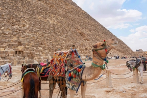Cairo: Kameltur til Giza-pyramiderne og tur til det egyptiske museum
