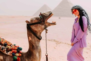 Cairo: Kameltur til Giza-pyramiderne og tur til det egyptiske museum