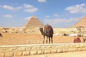 Cairo: Giza Pyramids, Egyptian Museum Day-Trip, Camel, Lunch
