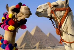 Le Caire : Visite des Pyramides de Gizeh et du Grand Musée Egyptien avec déjeuner