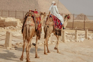 Cairo: Giza Pyramids, Saqqara & Memphis Tour with Lunch