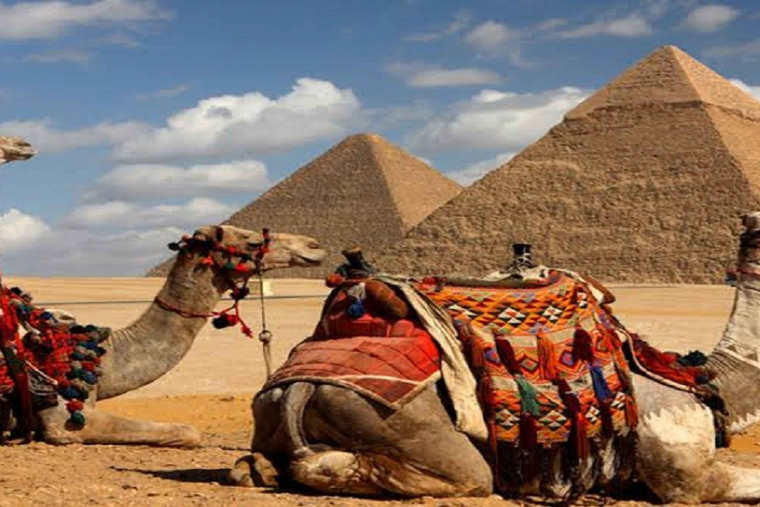 Cairo: private Giza Pyramids Tour with Camel Ride & Tickets