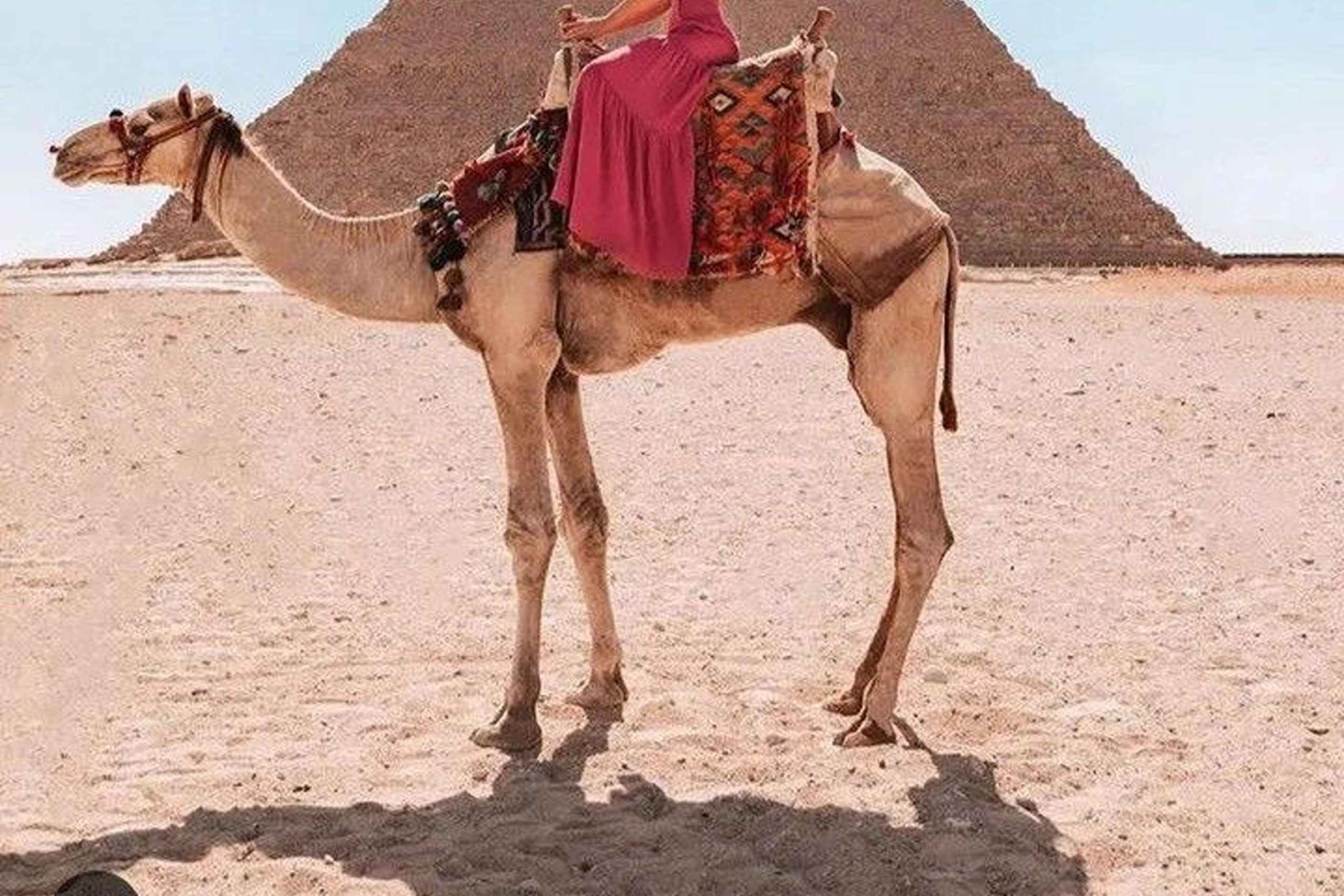 Cairo: Great Pyramids of Giza and Egyptian Museum Tour