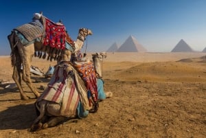 Cairo: Great Pyramids of Giza and Egyptian Museum Tour