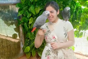 Kair: wycieczka 1-dniowa z przewodnikiem do Africa Safari Park z lunchem