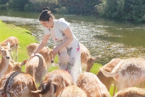 Kair: wycieczka 1-dniowa z przewodnikiem do Africa Safari Park z lunchem