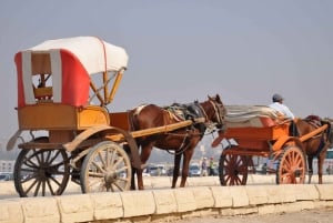 カイロ：ラクダまたは馬車で行くピラミッド半日ツアー