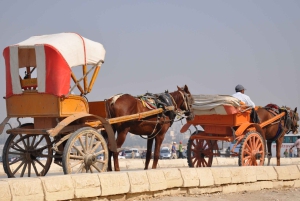 Kairo: Halvdagstur til pyramidene med kamel eller hestevogn