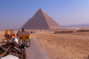 Kairo: Halvdagstur til pyramidene med kamel eller hestevogn