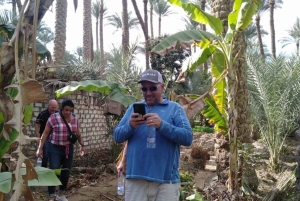 القاهرة: تناول وجبة الإفطار في جرين فارم