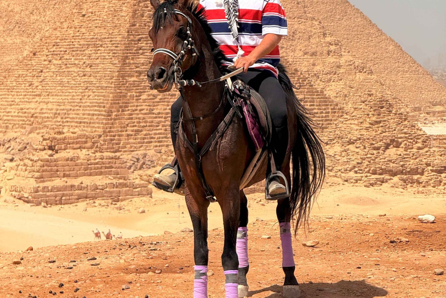 カイロ：ギザのピラミッドでの馬乗りツアー