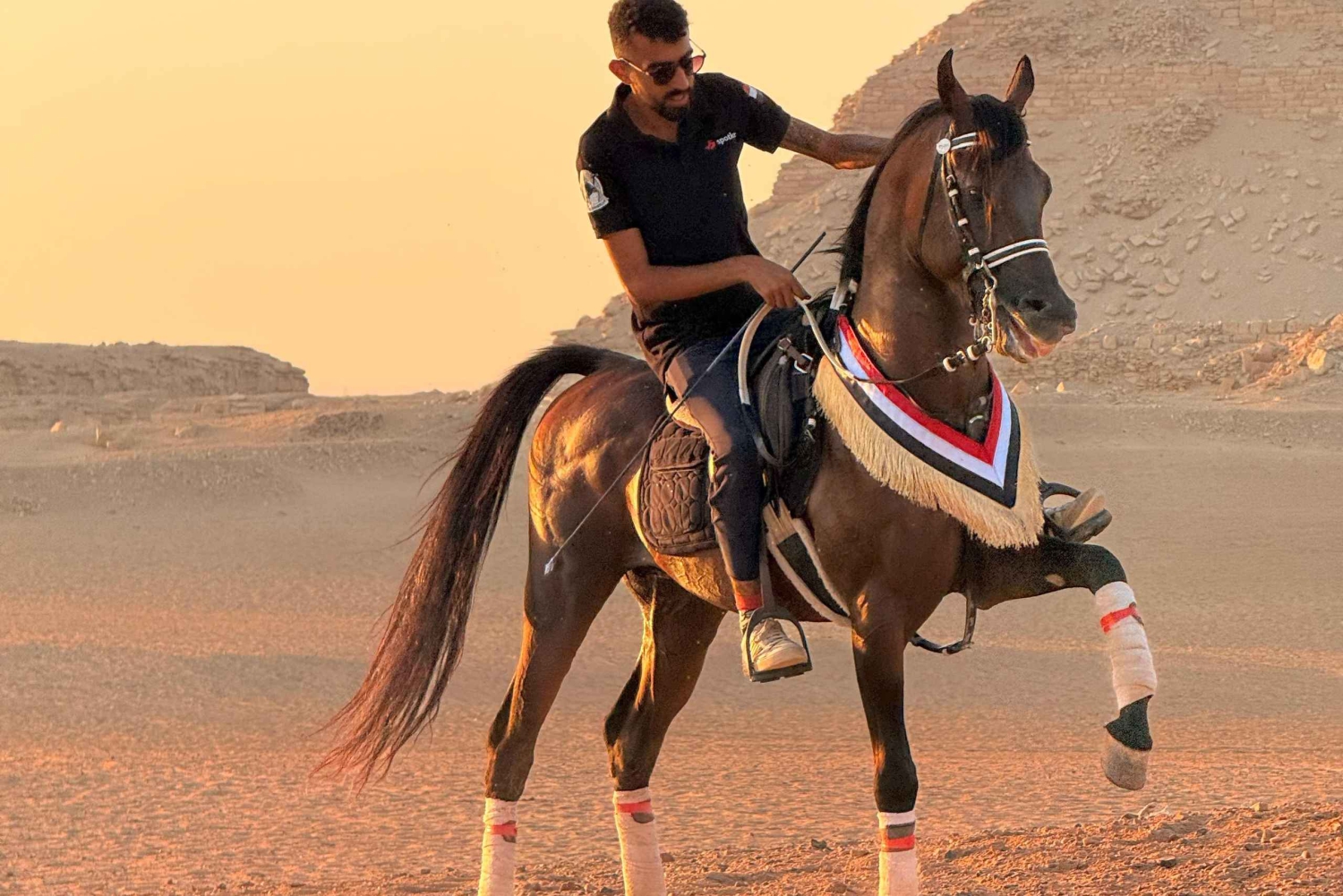 カイロ：ギザのピラミッドでの馬乗りツアー