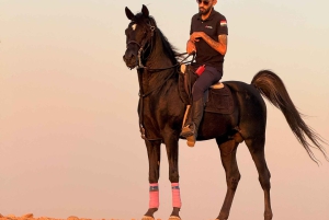 カイロ：ギザのピラミッドでの馬乗りツアー