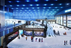 Cairo: Indoor Snowboarding Tickets with Hotel Transfer