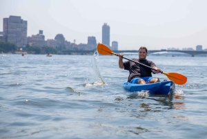 カイロ:ナイル川でのプライベートカヤックアドベンチャー