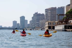 カイロ:ナイル川でのプライベートカヤックアドベンチャー