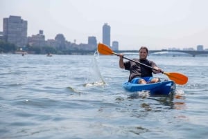 カイロ:ナイル川でのプライベートカヤックアドベンチャー