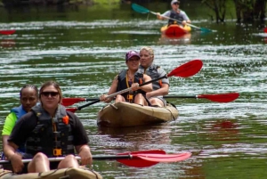 カイロ:ナイル川でのプライベートカヤックアドベンチャー