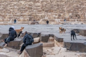 Cairo Layover: Tour to Pyramids, Coptic Cairo & Khan Khalili