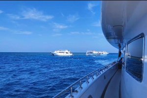 Kairo: Luksus snorklingcruise og lunsj med valgfri henting