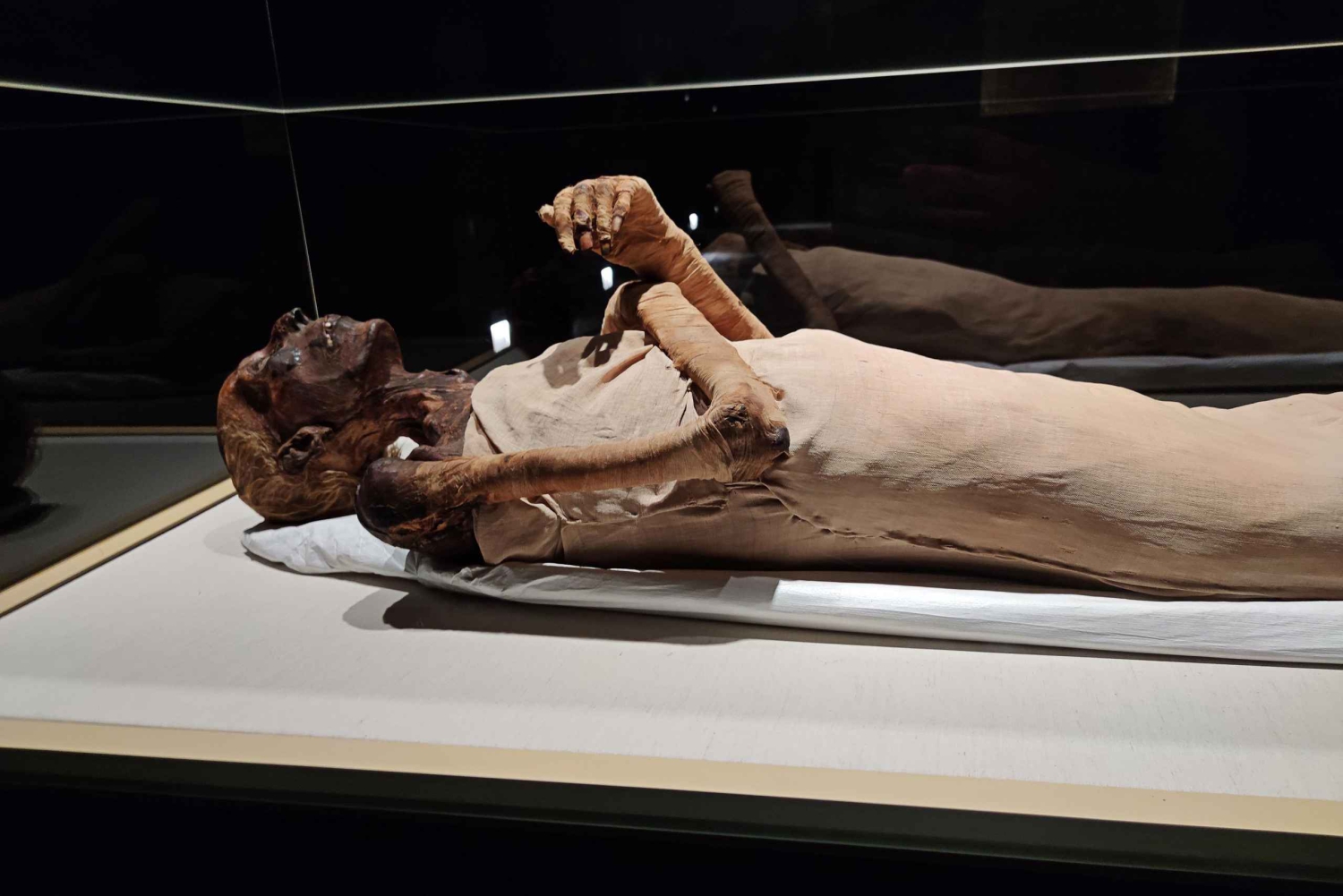 Il Cairo: Biglietto d'ingresso al Museo Nazionale della Civiltà Egiziana