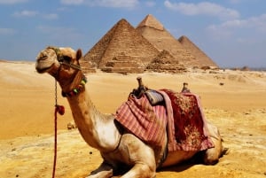 Caïro & Nijl: 7 dagen hotel & cruise per vlucht