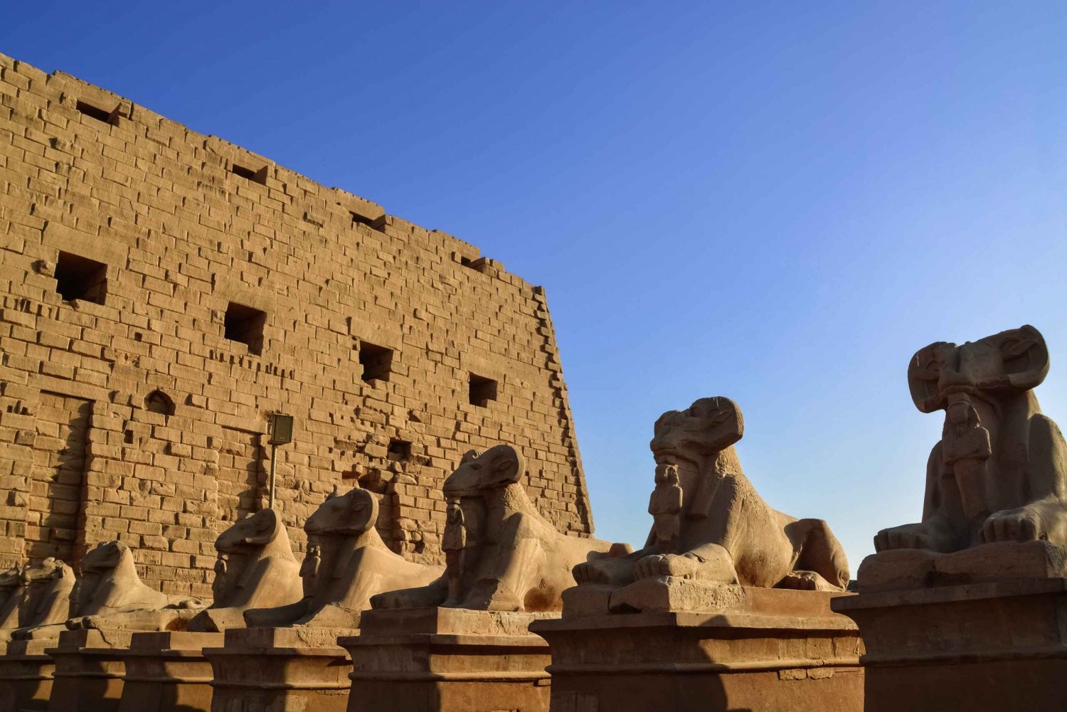 Cairo : Overnight Tour To Luxor From Cairo By VIP Train