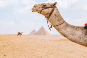 Cairo: Private Great Pyramids of Giza Half-Day Adventure
