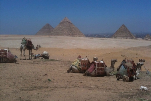 Cairo: Private Great Pyramids of Giza Half-Day Adventure