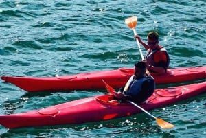 Kairo: Yksityinen kajakkiseikkailu Niilillä