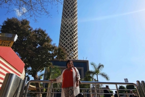 El Cairo: Excursión de un día guiada privada al Palacio Manial y la Torre de El Cairo