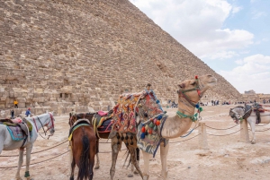 Cairo: Excursão particular às pirâmides e ao Museu Egípcio com almoço