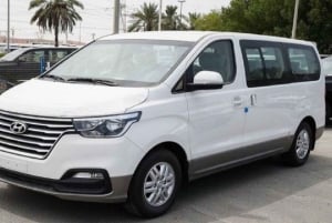 Cairo: Private Transfer From/To Cairo International Airport