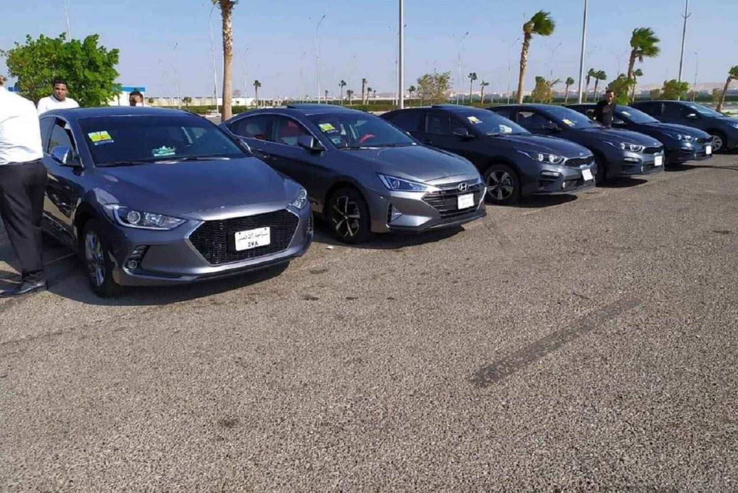 Cairo: Traslado privado de/para a estação ferroviária do Cairo