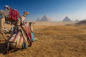 Kairo: Tur til de store pyramidene i Giza og Egyptisk museum